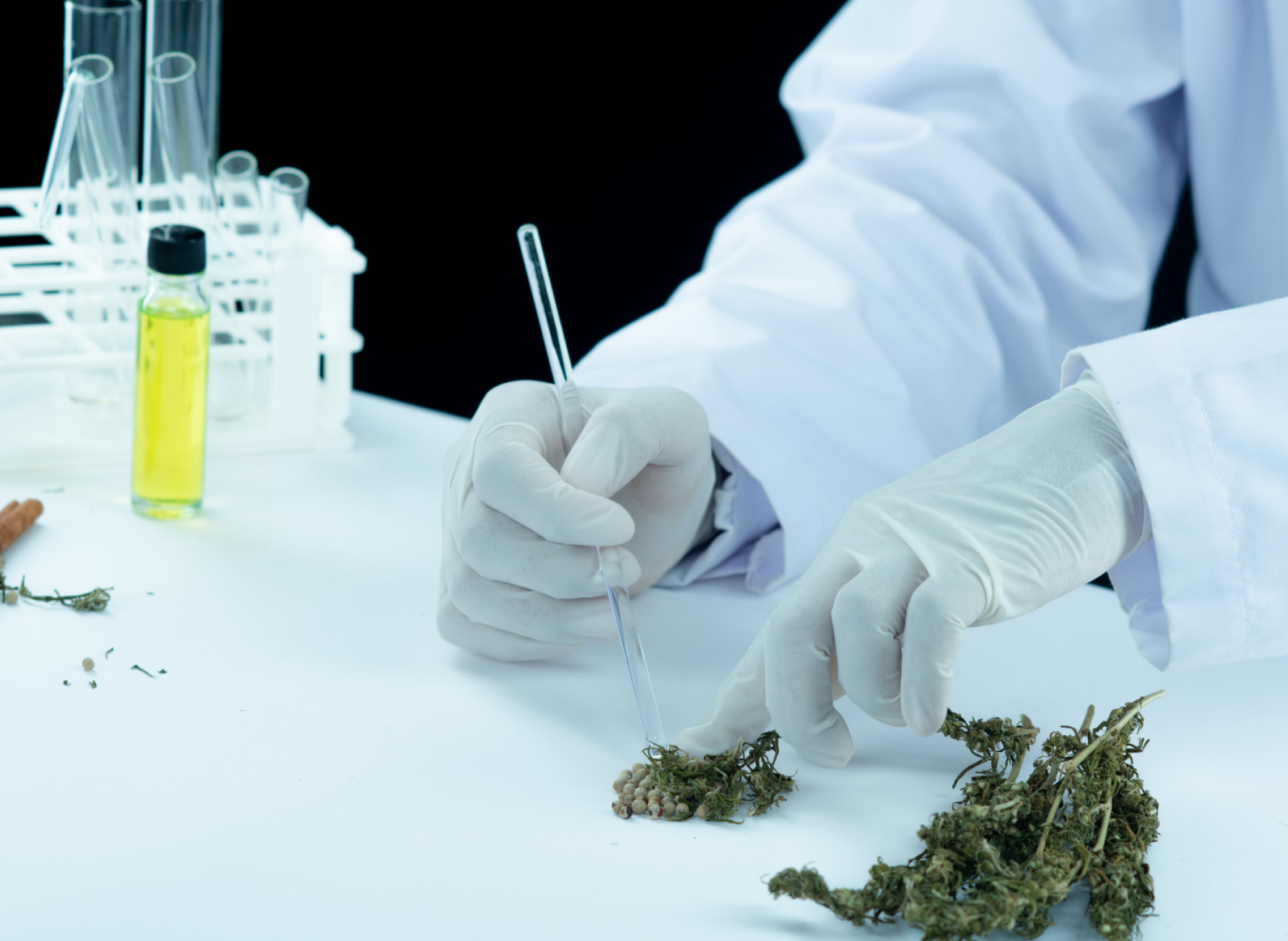 Medical Cannabis, Drug Testing and Disability Discrimination: Key Lessons for Employers from Truman v SPL Powerlines UK Ltd